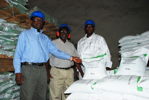 Maize seeds ready for distribution in Malawi