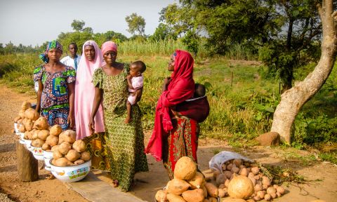 Women and children standing near sweet potatoes
