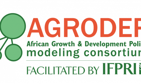 AGRODEP logo