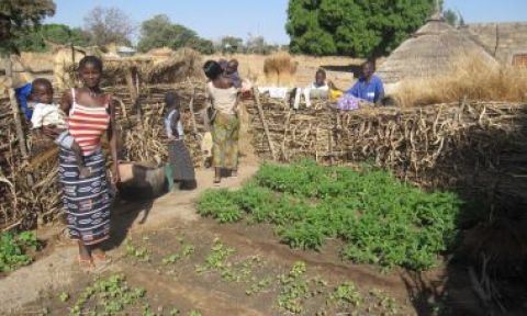 Residents of a Burkina Faso village gather around a home garden grown as part of the CHANGE program, which boosted several key measures of nutrition among infants and young children after only two years.