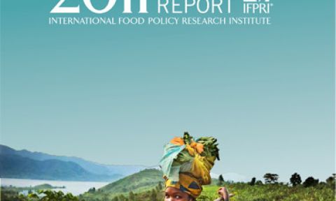 2011 Global Food Policy Report