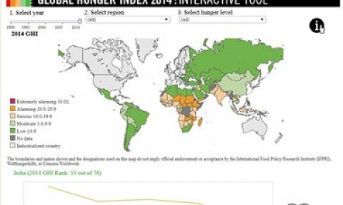 2014 Global hunger index Interactive map