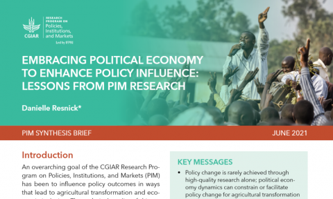 Embracing political economy to enhance policy influence: Lessons from PIM research