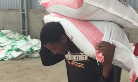 Worker carries two sacks of fertilizer on his back, other bags in background