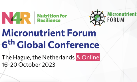 Micronutrient Forum 6th Global Conference, The Hague, the Netherlands, & Online, 16-20 October 2023