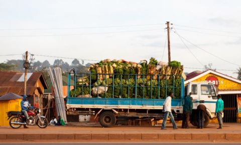 Bananas on a truck in Uganda