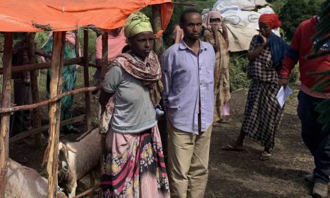 Woman and man stand in front of enclosure with goats inside, left; man and woman in background, right