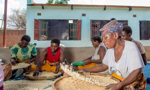 Four women sorting maize seeds with sieves outside, building in background