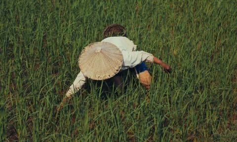 Overhead view of farmer crouching and leaning forward 