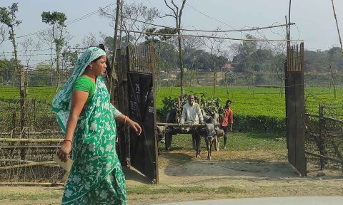 Woman in green sari on left walks past fence gate, as farmers approach with cart from other side