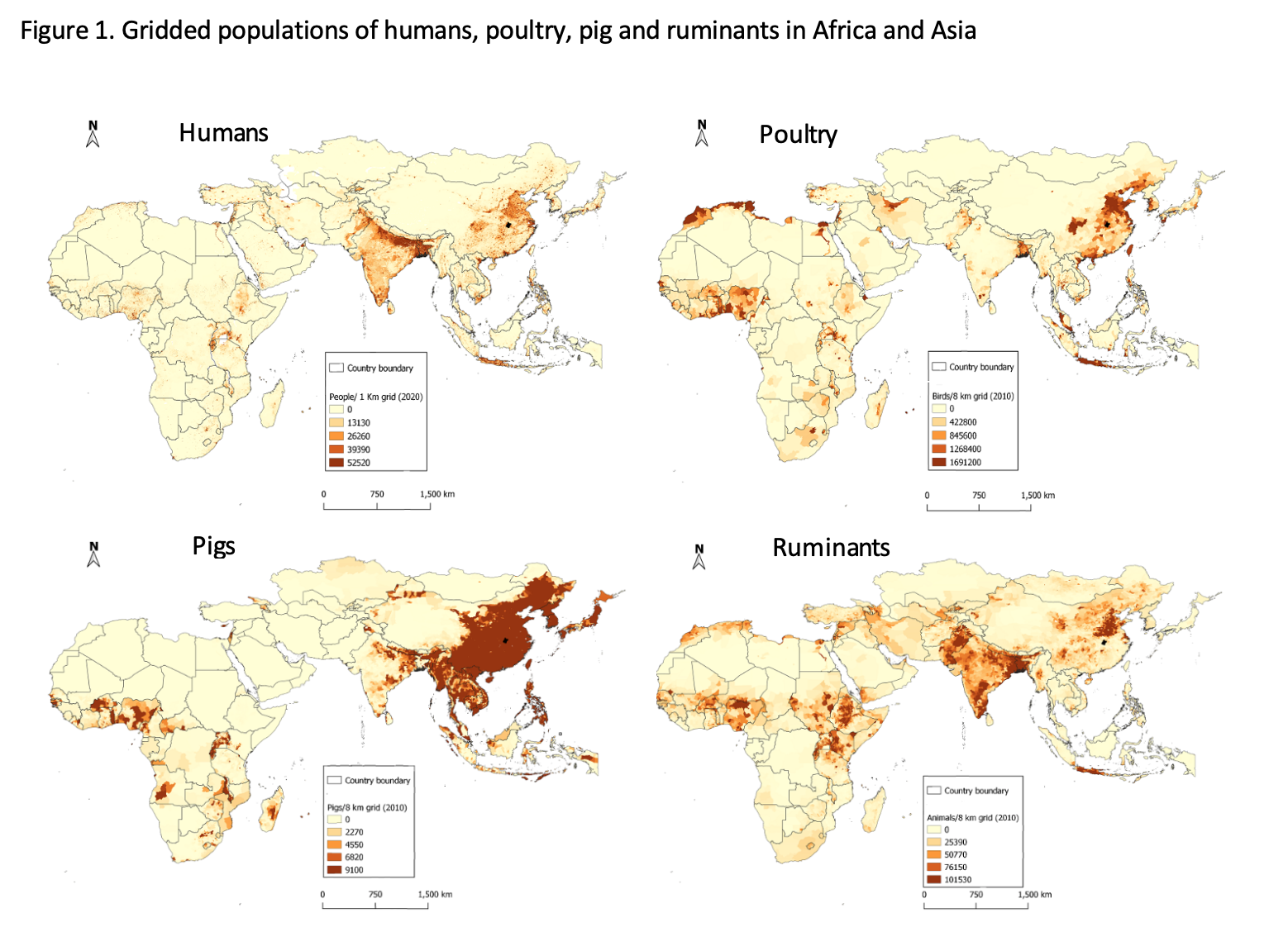 Africa's growing risk of diseases that spread from animals to people |  IFPRI : International Food Policy Research Institute