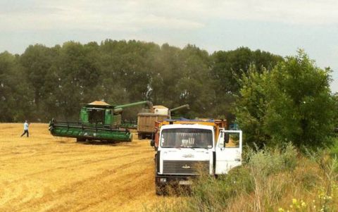 Machines harvest wheat in Ukraine