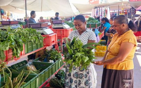Women standing with leafy produce next to bins in market