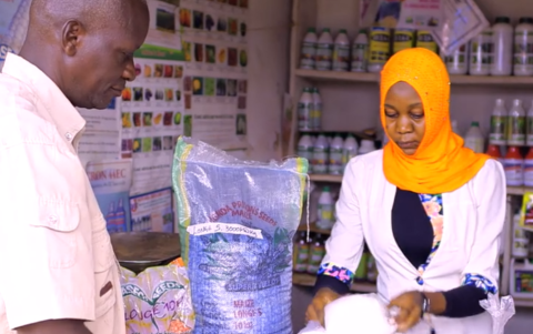 Customer, left, and dealer right (wearing yellow hijab), with bag of seeds between them on counter
