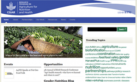 Agriculture for Nutrition and Health website