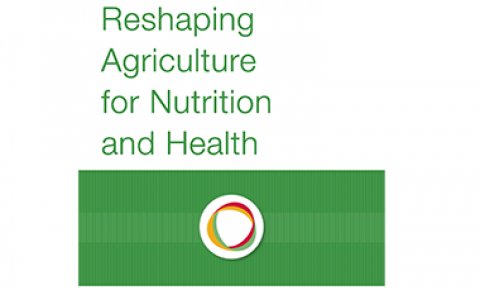 Cover image of 2020 book, Reshaping Agriculture for Nutrition and Health
