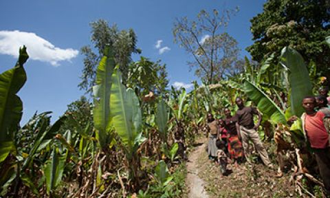 Farmers in Ethiopia