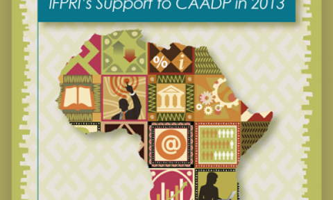 Strengthening capacities for evidence-based policy planning and implementation in Africa: IFPRI’s support to CAADP in 2013