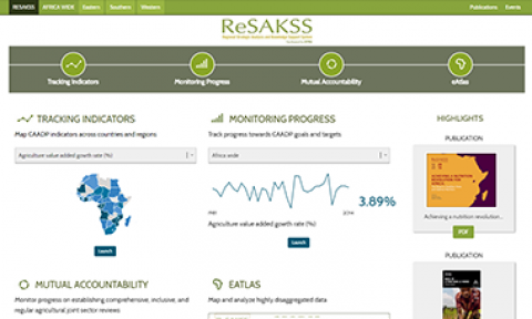 RESAKSS Website
