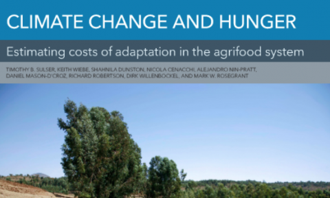 Climate Change and hunger: Estimating costs of adaptation in the agrifood system