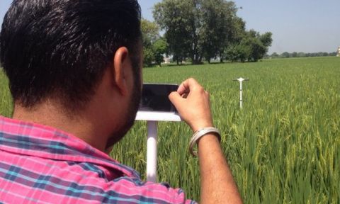 Farmer uploading new picture of enrolled site