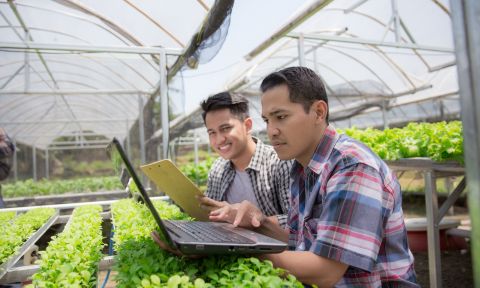 Two men looking at a laptop in a greenhouse