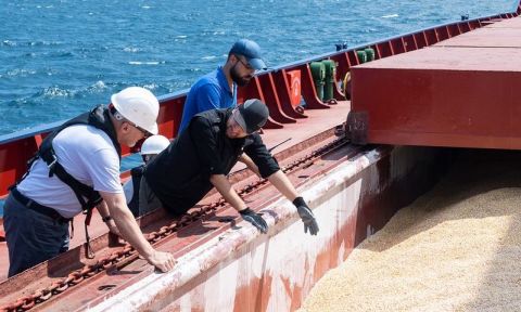 Inspectors examine grain in a ship's hold