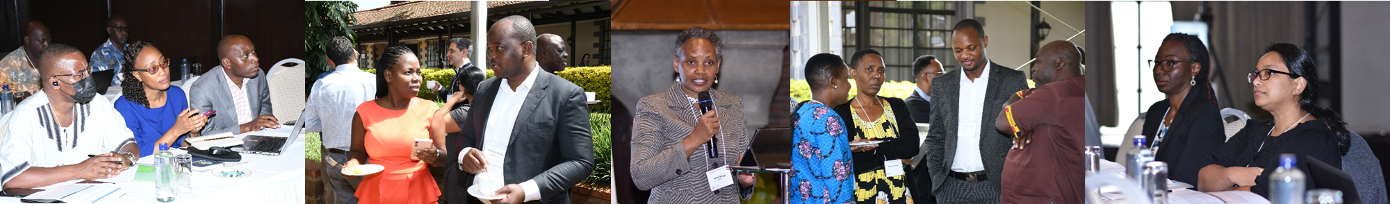 Foresight Modeling with IFPRI’s IMPACT Model
