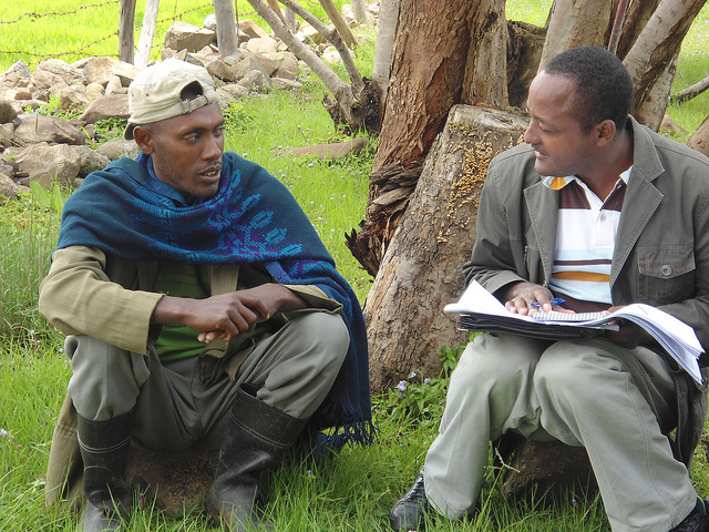 Five comparable country datasets for Africa RISING now available