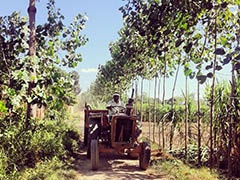 photo_for_the_essay_shenggen_fan_240_resized