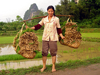 rural_women