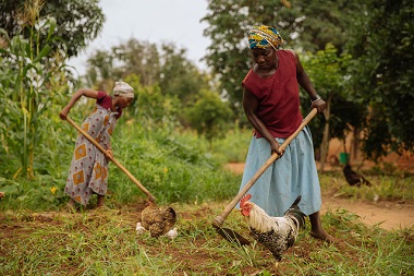 smilina_farmers_work_the_land