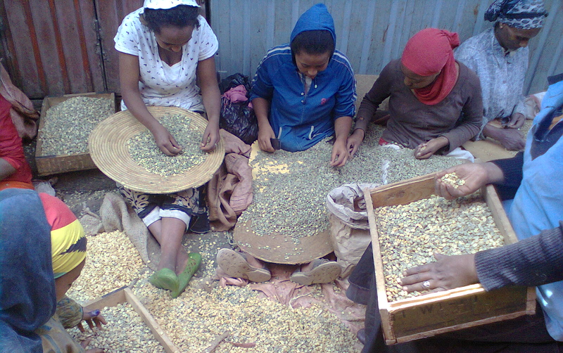 ethiopia_coffee3a