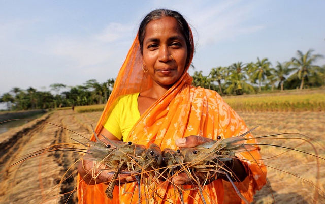 bangladesh_fish_farmer