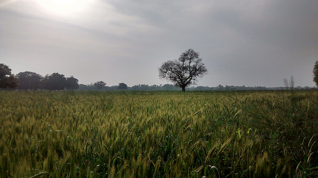 climate_change_blogs