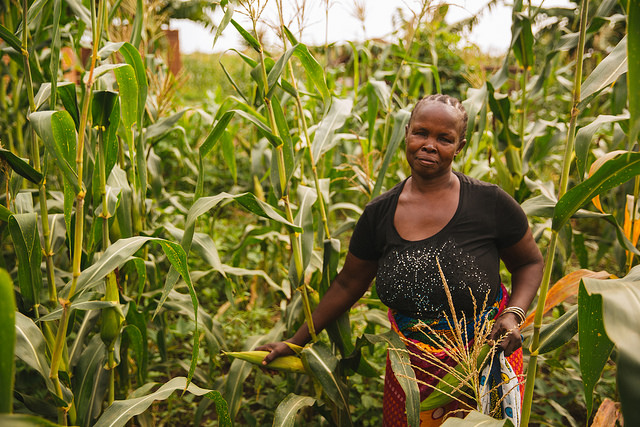farmerstandingincornfield