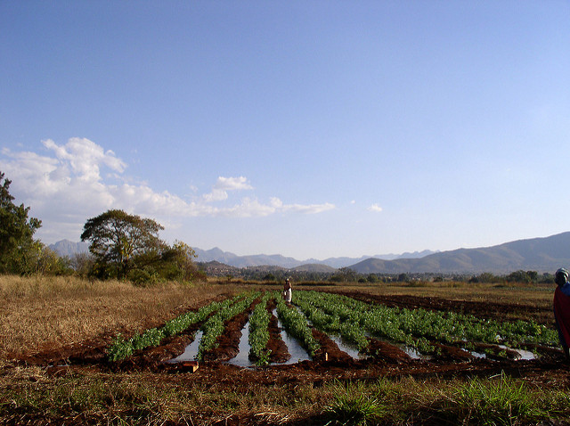 agroecology