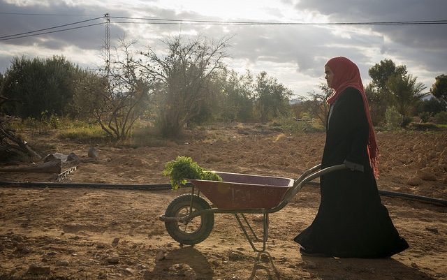 tunisia_farmer