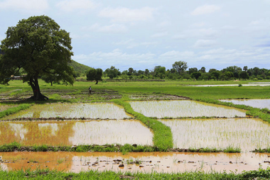 world_water_week_2015_380