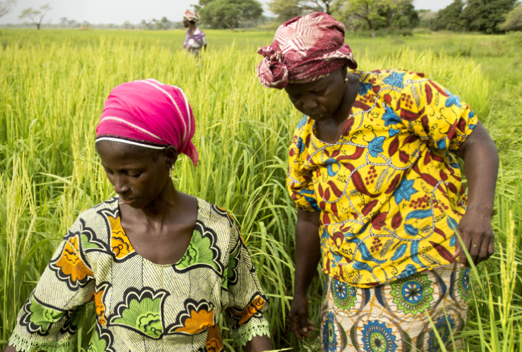 africanwomenfarmers