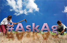 askagtwitterchat_youth_eventpage