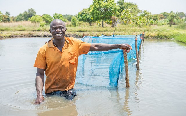zambia_fish_farmer