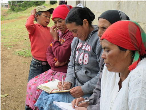 focus_group
