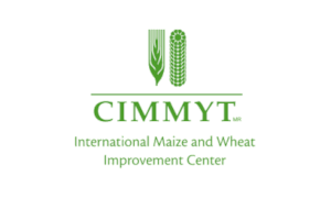donor-cimmyt