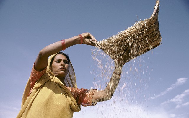 sifting_grain