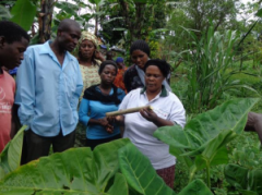 vft_wakiso_uganda-300x224
