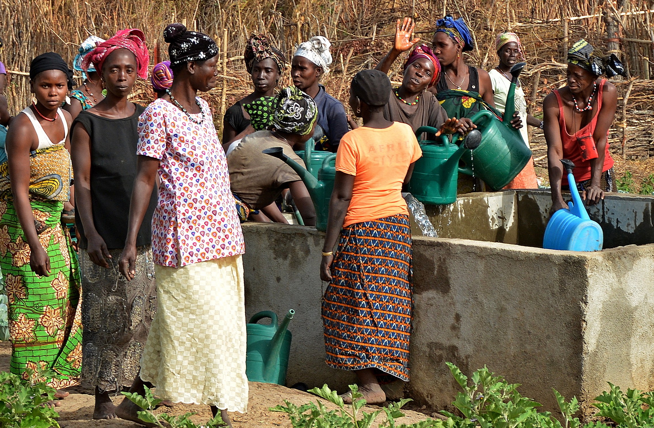 guinea_irrigation