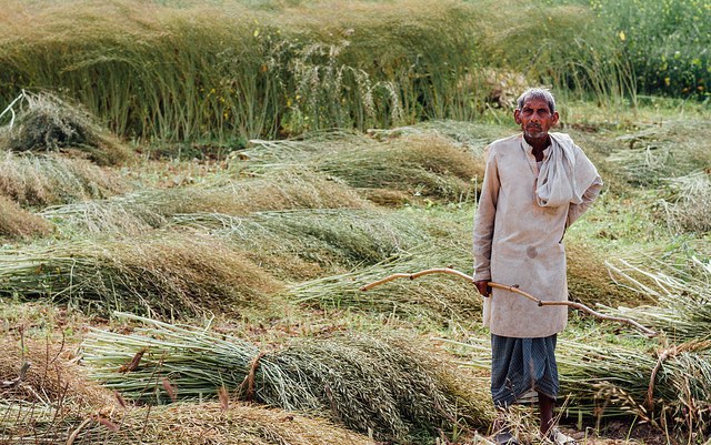 uttar_pradesh_farmer