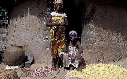 ghana_grains