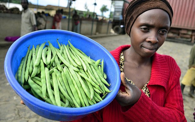rwanda_climbing_beans